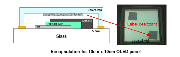 Encapsulation for an Organic Optoelectronic Device Encapsulation for an Organic Optoelectronic Device